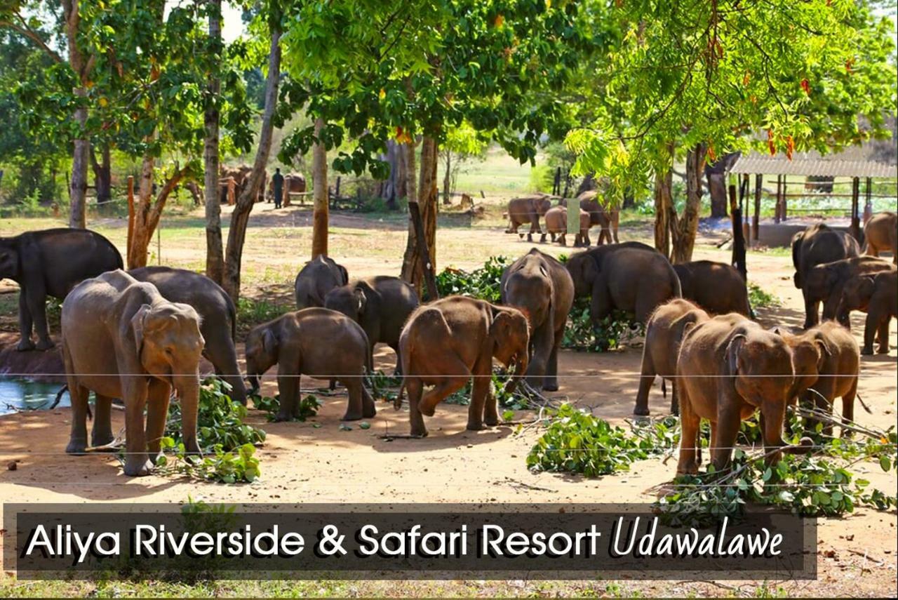 Aliya Riverside & Safari Resort Udawalawe Eksteriør bilde