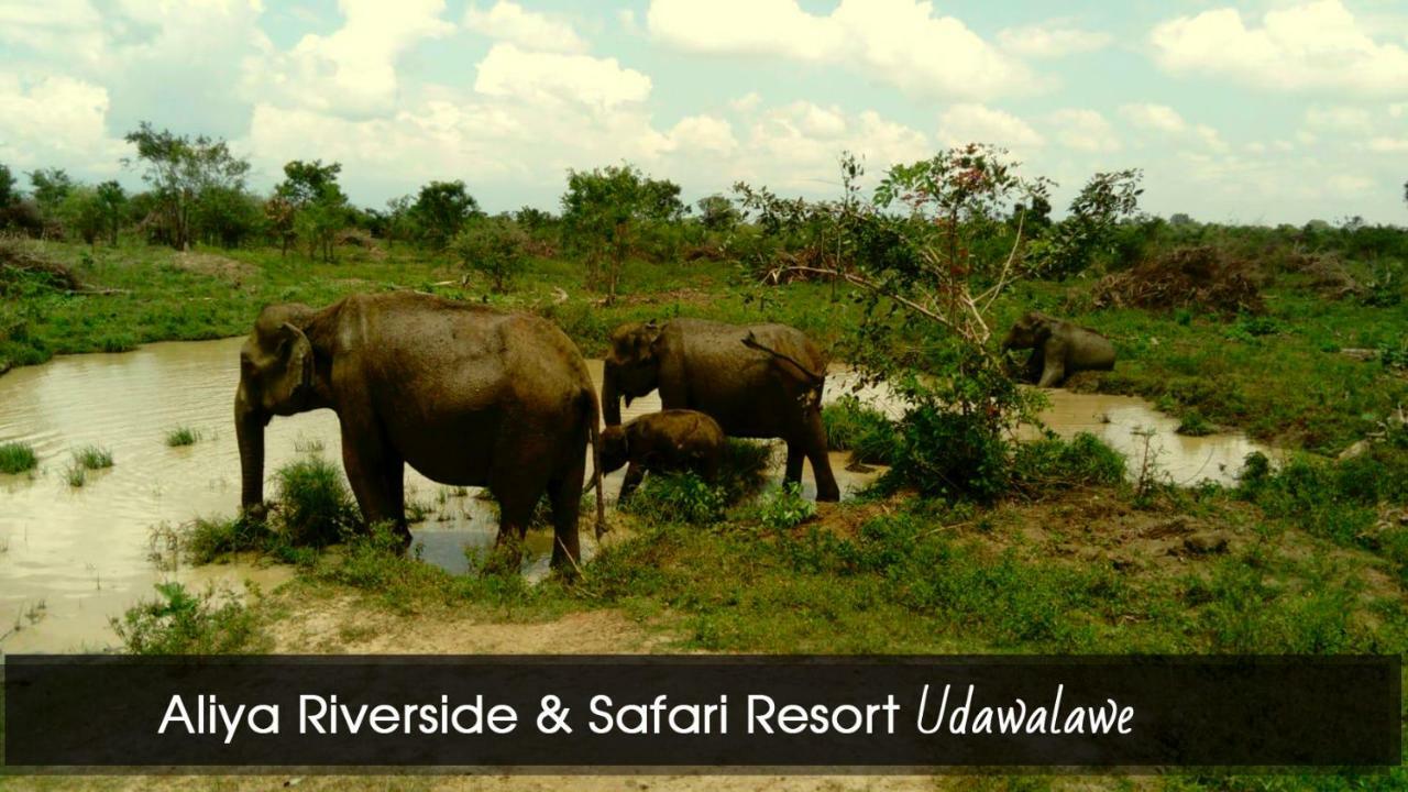 Aliya Riverside & Safari Resort Udawalawe Eksteriør bilde