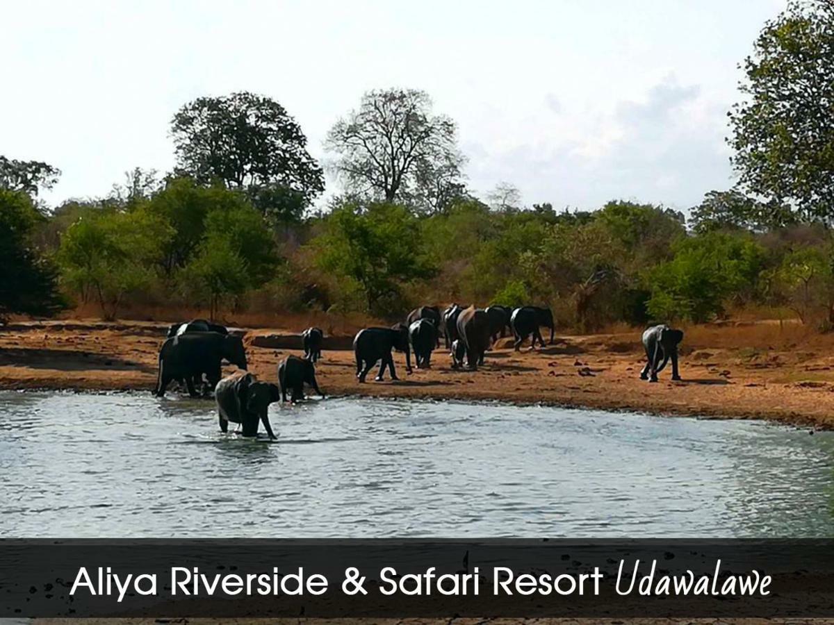 Aliya Riverside & Safari Resort Udawalawe Eksteriør bilde