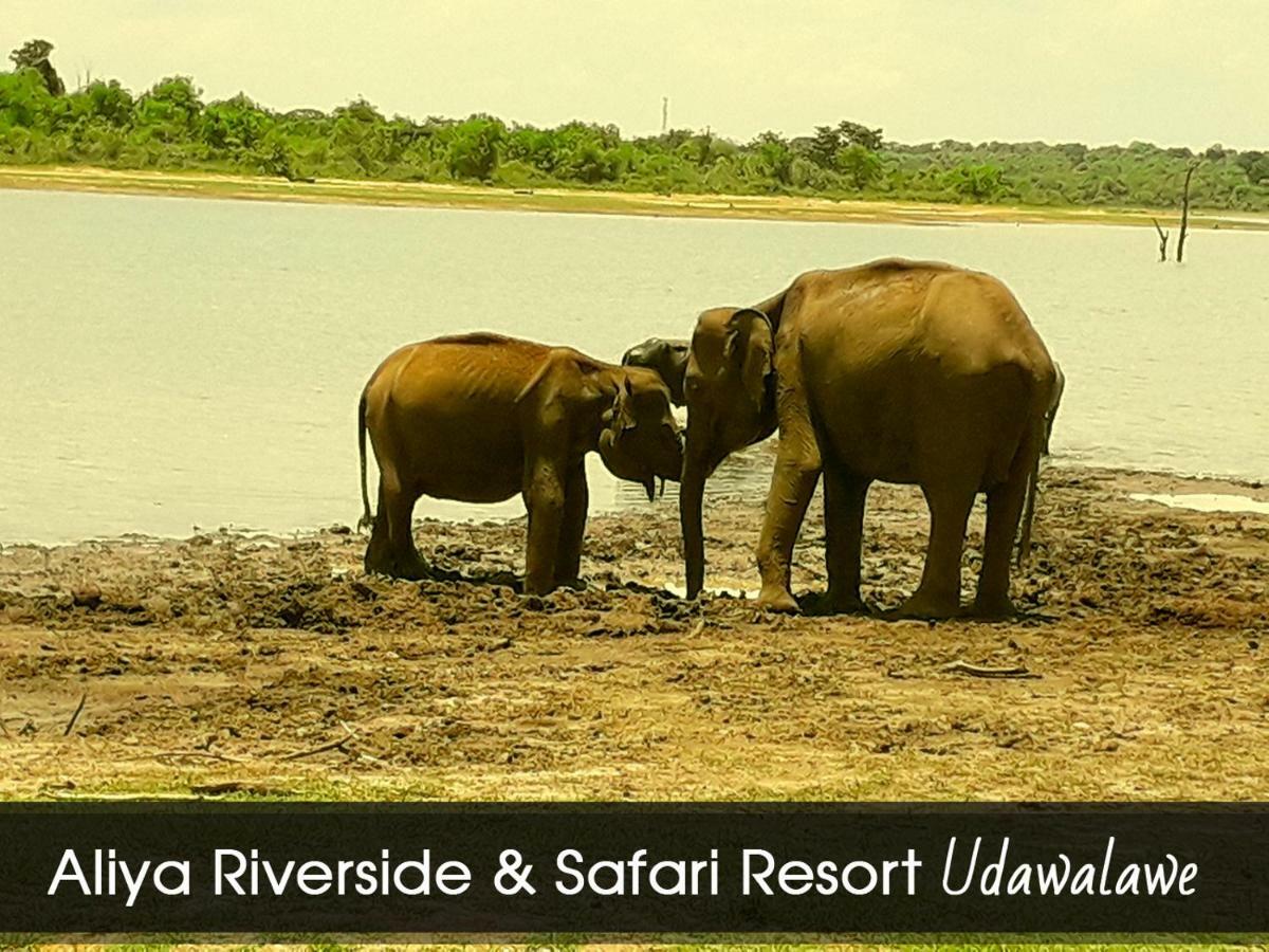 Aliya Riverside & Safari Resort Udawalawe Eksteriør bilde