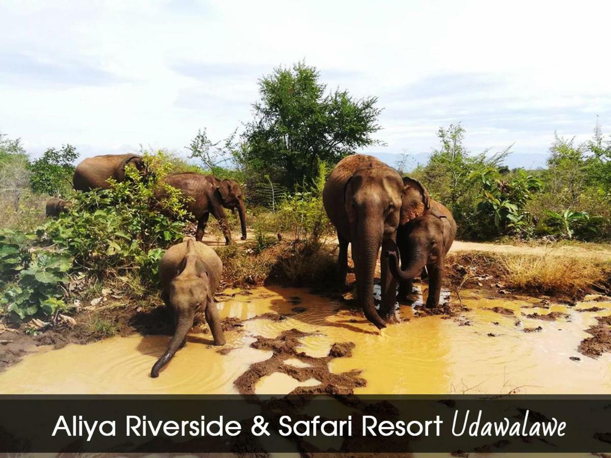 Aliya Riverside & Safari Resort Udawalawe Eksteriør bilde